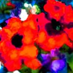 Inge Rubbert: Blütenimpressionen rot