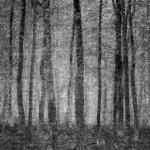 Schwöbel, Jutta: Wald / die Farbe Grau